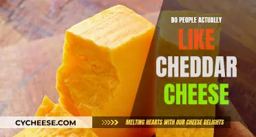 Cheddar Cheese: Delicious or Overrated?