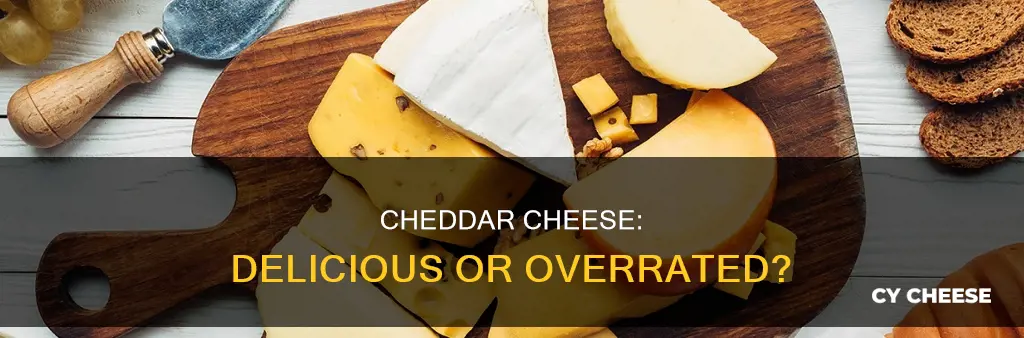 do people actually like cheddar cheese