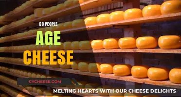 The Art of Aging Cheese: A Timeless Culinary Tradition Explored