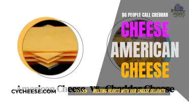 Cheddar vs. American: Unraveling the Cheese Conundrum