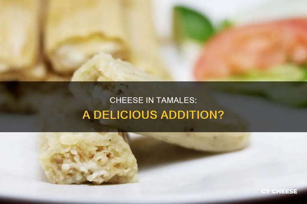do people put cheese in tamale