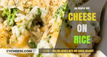 Cheese and Rice: A Delicious Combination?