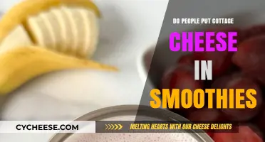 Cottage Cheese in Smoothies: A Surprising Trend or Healthy Hack?