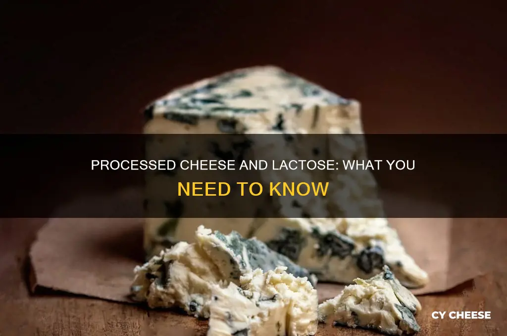 do processed cheese have lactose