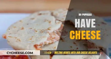 Exploring Pupusas: Do These Salvadoran Delights Always Include Cheese?