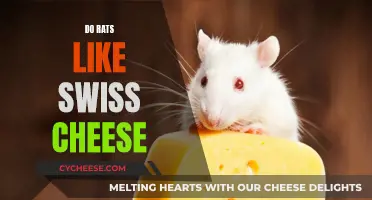 The Truth About Rats and Swiss Cheese