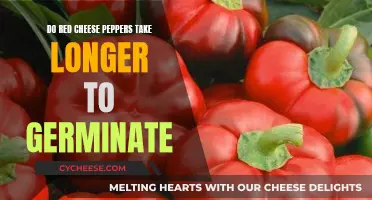 Red Cheese Peppers: Slow Germinators or Not?