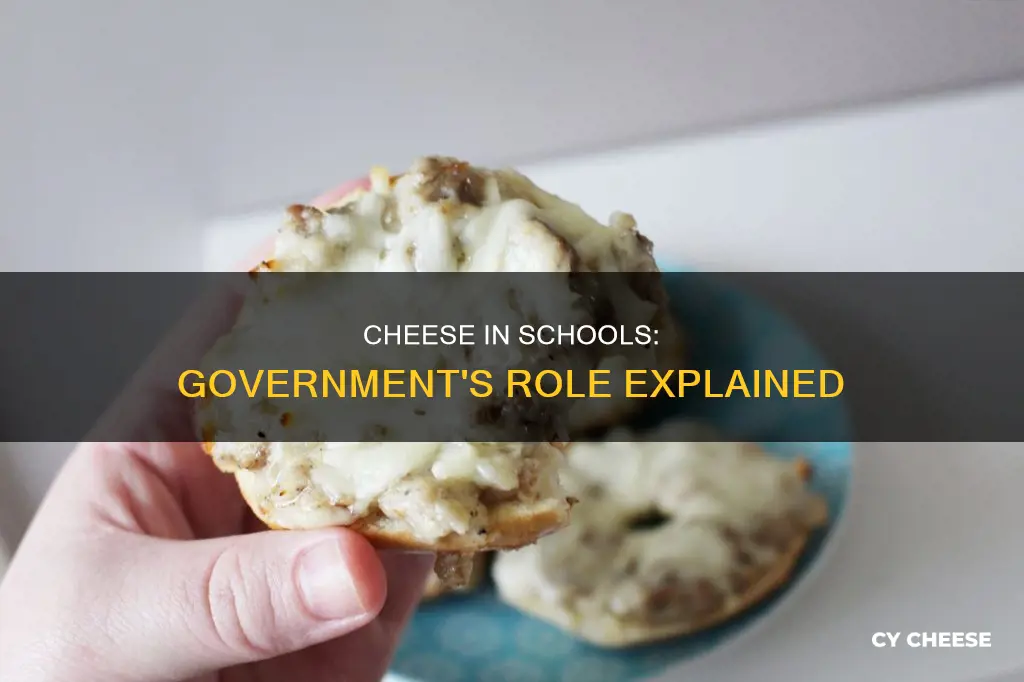 do schools use government cheese