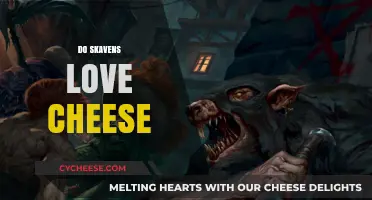 Do Skavens Truly Love Cheese? Unraveling the Rodent Myth