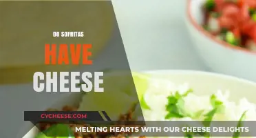 Do Sofritas Contain Cheese? Unraveling the Vegan-Friendly Mystery