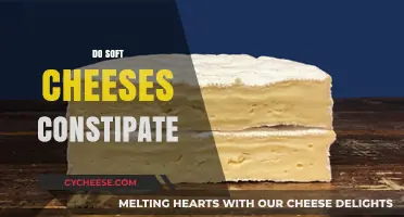 Soft Cheeses and Constipation: Debunking Myths for Better Digestion