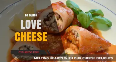Do Squids Love Cheese? Unraveling the Truth Behind the Myth