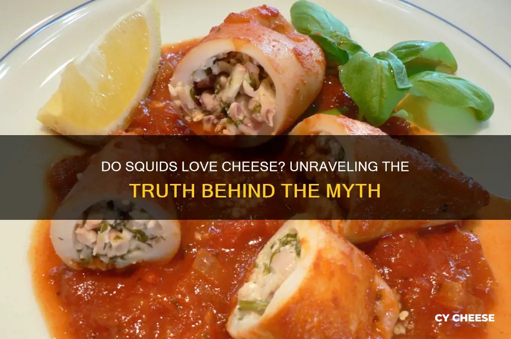 do squids love cheese
