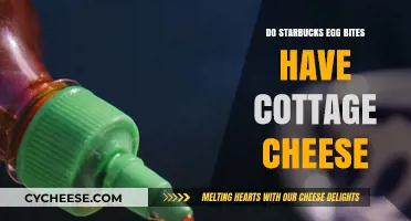 Starbucks Egg Bites: Cottage Cheese or Not? Unveiling Ingredients