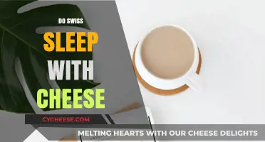 Swiss and Cheese: A Bedtime Story