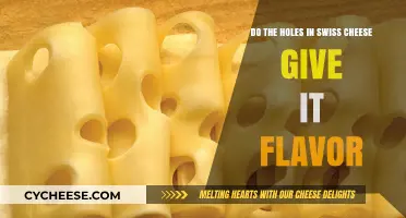 Swiss Cheese Holes: Flavor Enhancers or Myth?