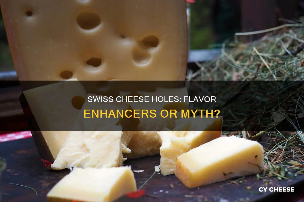 do the holes in swiss cheese give it flavor