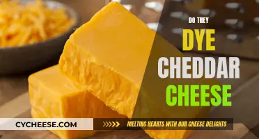 The Colorful World of Cheddar: Can You Dye It?