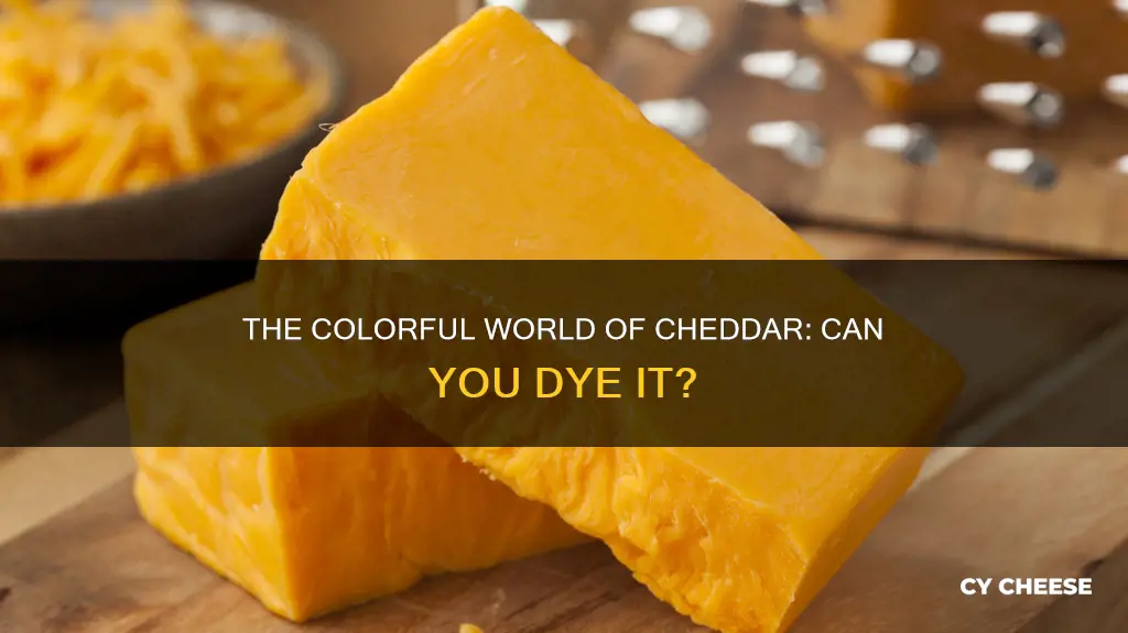 do they dye cheddar cheese