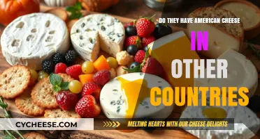 American Cheese Abroad: Exploring Its Global Presence and Variations