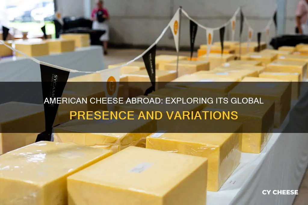 do they have american cheese in other countries