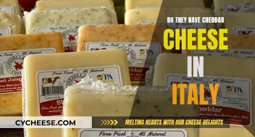 Cheese Quest: Italy's Cheddar Conundrum