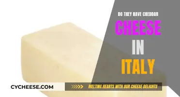 Cheddar Cheese in Italy: Is It Available?