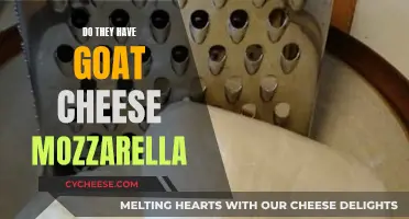 Goat's Milk Mozzarella: A Cheesy Adventure