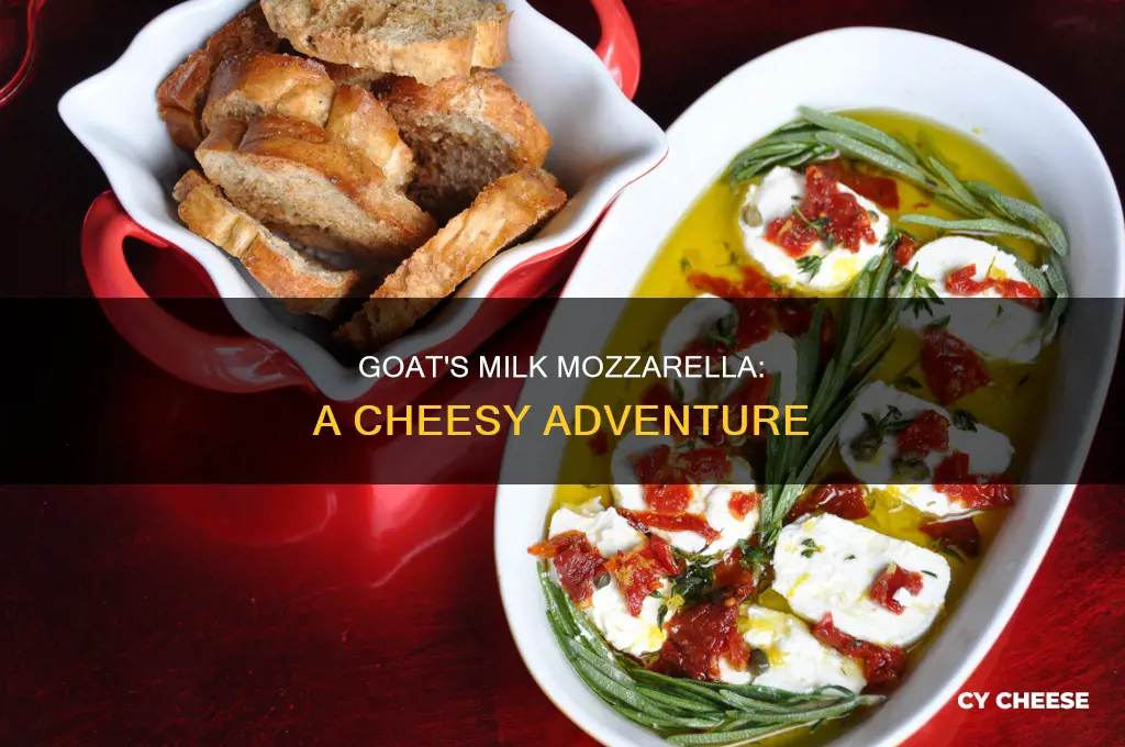 do they have goat cheese mozzarella