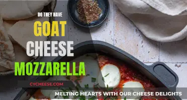 Goat Cheese Mozzarella: A Delicious Dairy Delight?