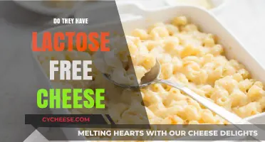 Lactose-Free Cheese: A Dream Come True?