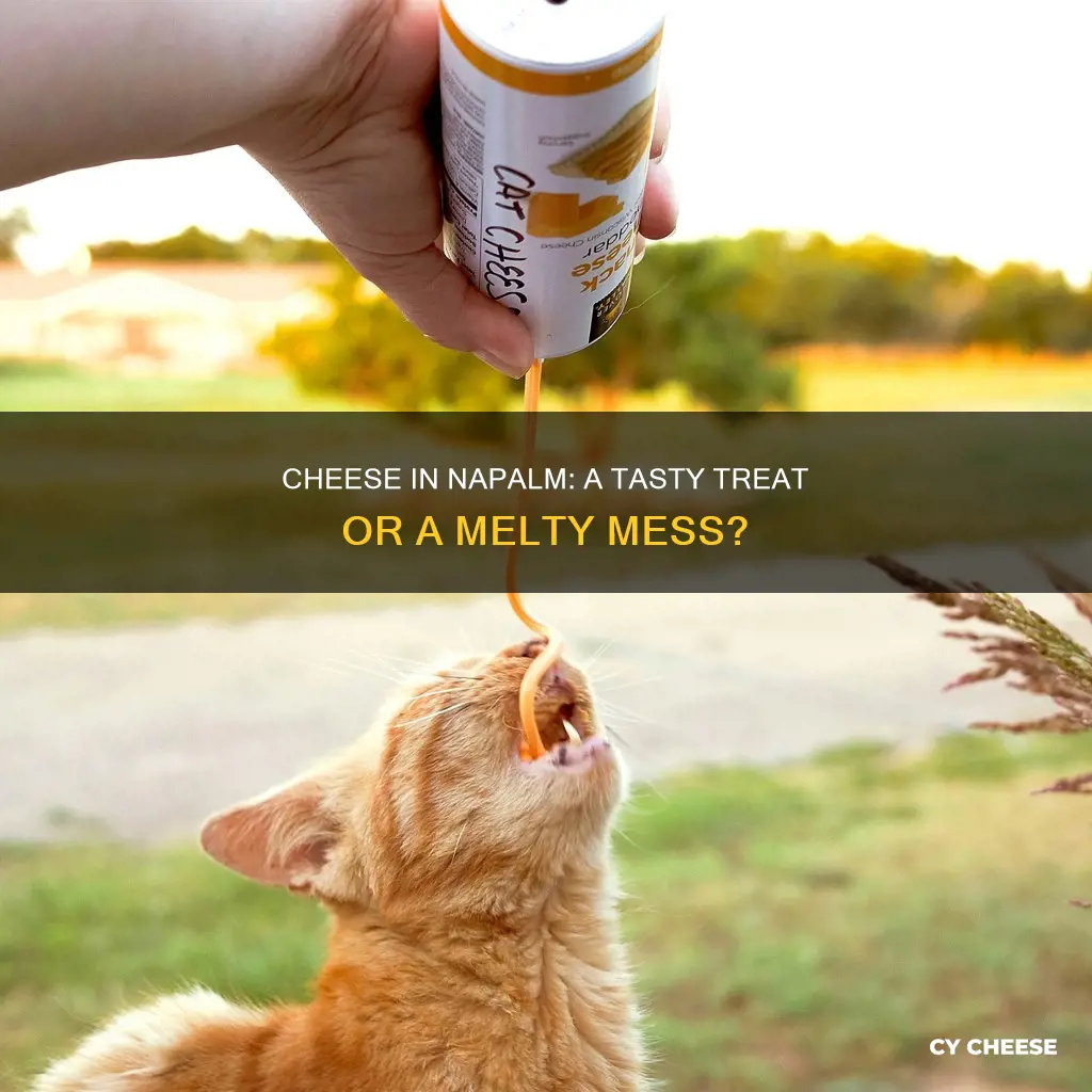 do they put cheese in napalms