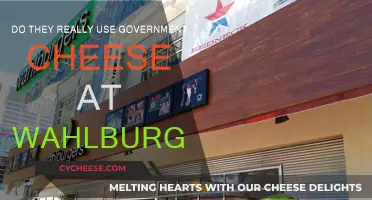 The Truth About Wahlburger's Cheese Source