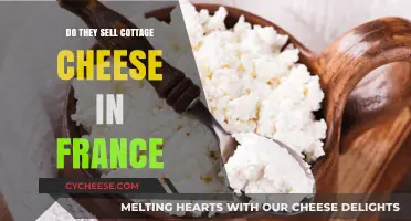 Exploring French Markets: Is Cottage Cheese Available in France?