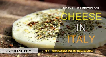 Provolone Cheese: An Italian Favorite?