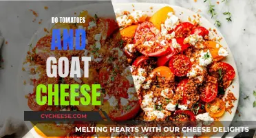 A Match Made in Heaven: Tomatoes and Goat Cheese Bliss