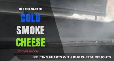 Cold Smoking Cheese: Is Water Necessary for Perfect Results?