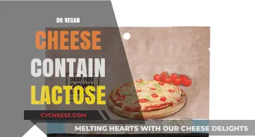 Is Vegan Cheese Lactose-Free? Uncovering the Truth for Dairy-Sensitive Diets