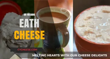 Do Vegans Eat Cheese? Debunking Myths About Plant-Based Diets