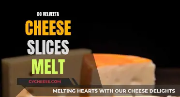 Velveeta Cheese Slices: Melting Magic or Mystery?