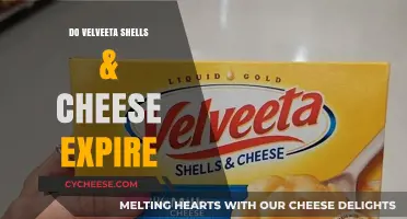 Does Velveeta Shells & Cheese Expire? Shelf Life Explained
