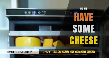 Do We Have Some Cheese? Exploring the Fridge's Dairy Dilemma