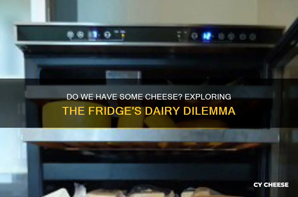 do we have some cheese