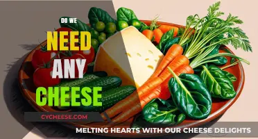 Do We Need Any Cheese? Exploring Its Role in Modern Diets