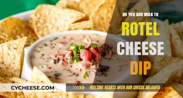 Perfecting Rotel Cheese Dip: Milk or No Milk? A Tasty Debate