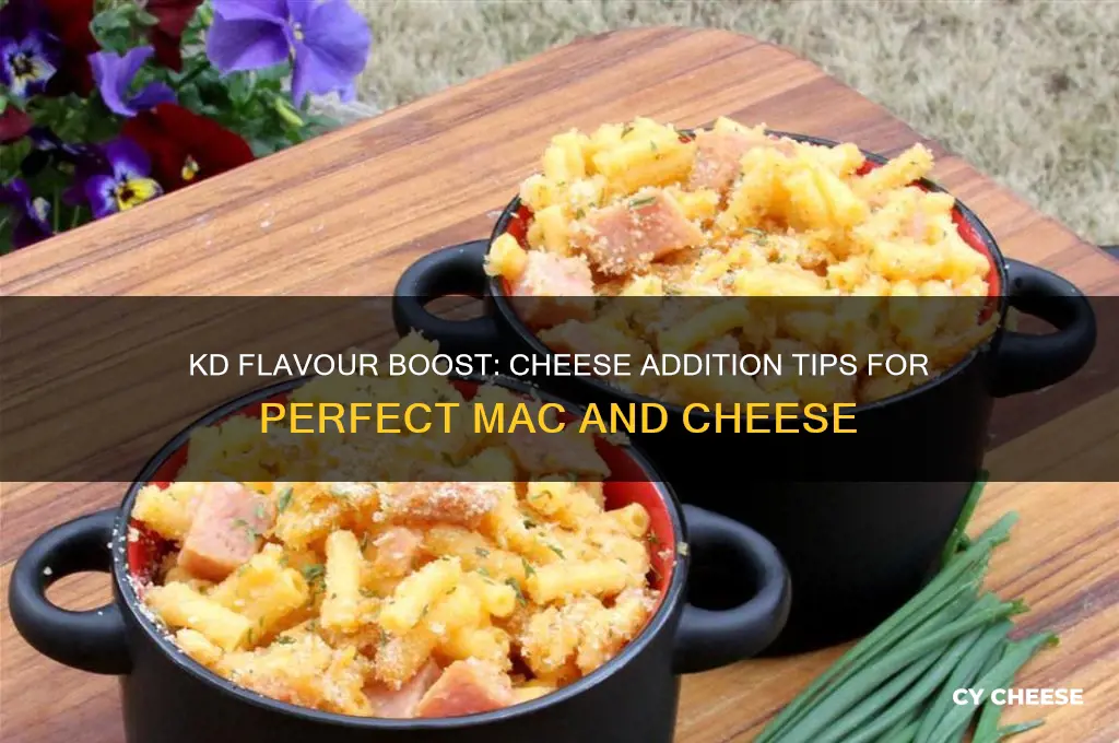 do you add the cheese to kd flavour boost