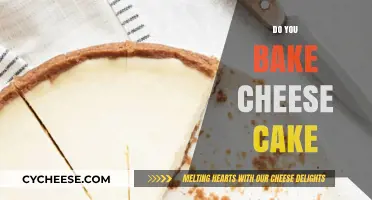 Mastering the Art of Baking the Perfect Cheesecake at Home