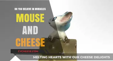 Miracles, Mice, and Cheese: Exploring the Magic of Unlikely Pairings