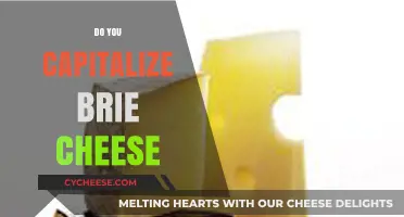 Brie Cheese Capitalization: When to Capitalize the Creamy French Cheese