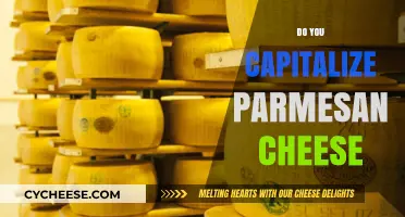 When to Capitalize Parmesan Cheese: A Quick Guide